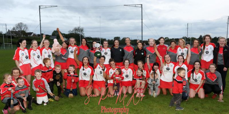 Senior Camogie Champions for the 6th year in a row (Pic from The Saffron Gael)
